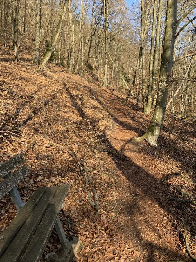 Ferienwohnung Agnes Mayer Riedenburg Exteriör bild